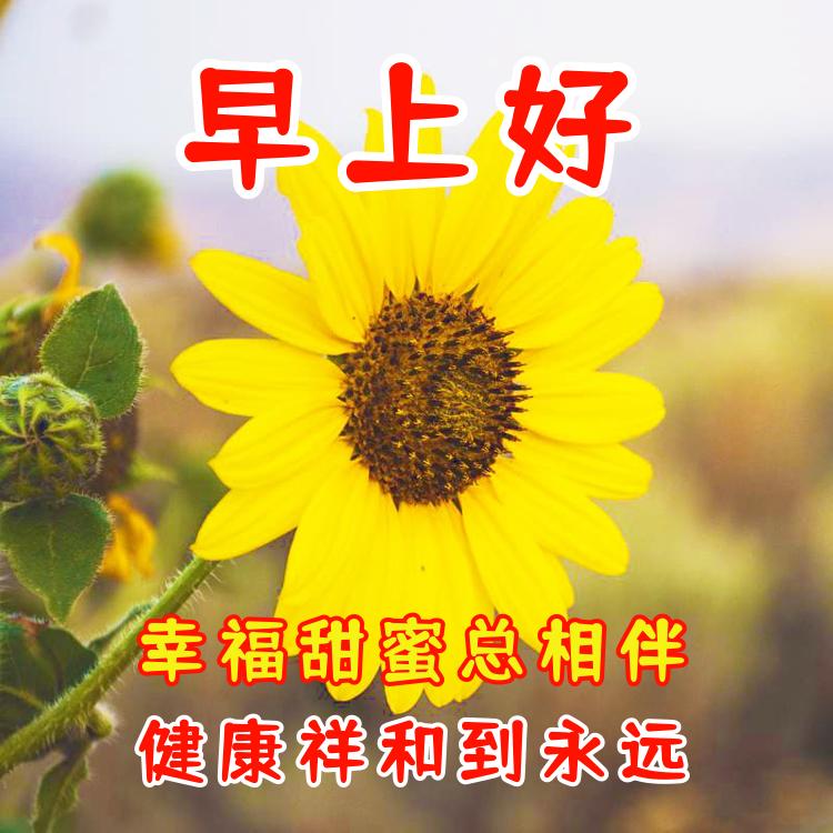 早上好祝福問候語 祝你幸福甜蜜 吉祥平安 天天看點