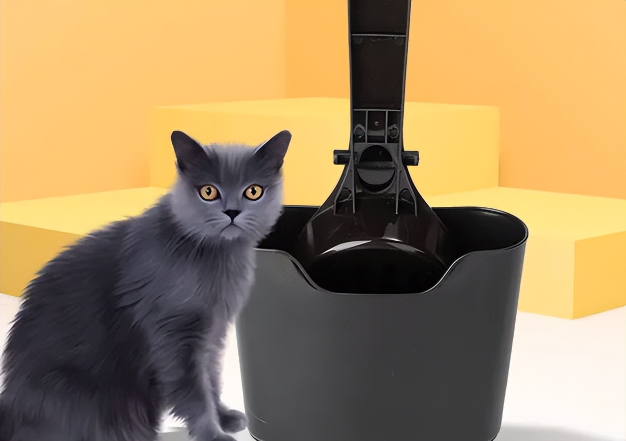 猫砂铲屎设备APP软件开发的功能清单