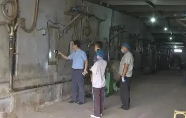 辞去公务员上山养蟑螂，10年养殖40亿只，李延荣如今收入百亿