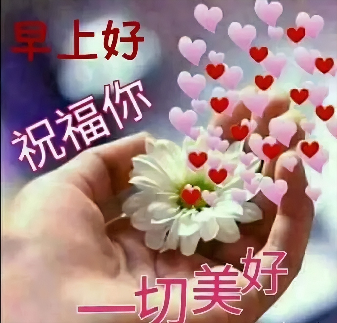 今天早安祝福语，新的一天早上好问候语，天虽然冷，问候却很温暖图片