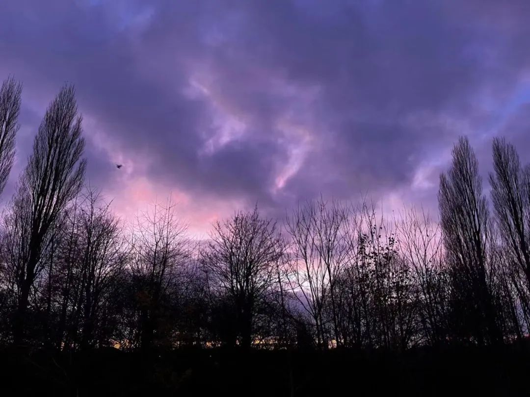 一等学位学姐带你了解赫尔