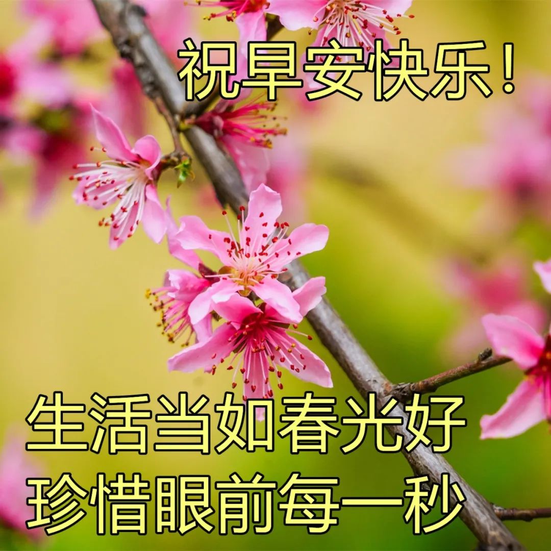 早上好祝福语录精选 早安表情包推荐 幸福手牵手，美好连成片图片
