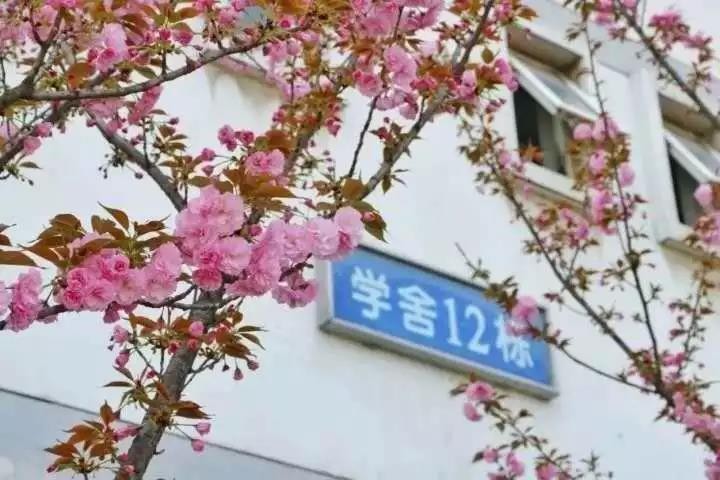 教育部大力支持！湖北这所高校迎来“新机遇”，坐拥全省唯一