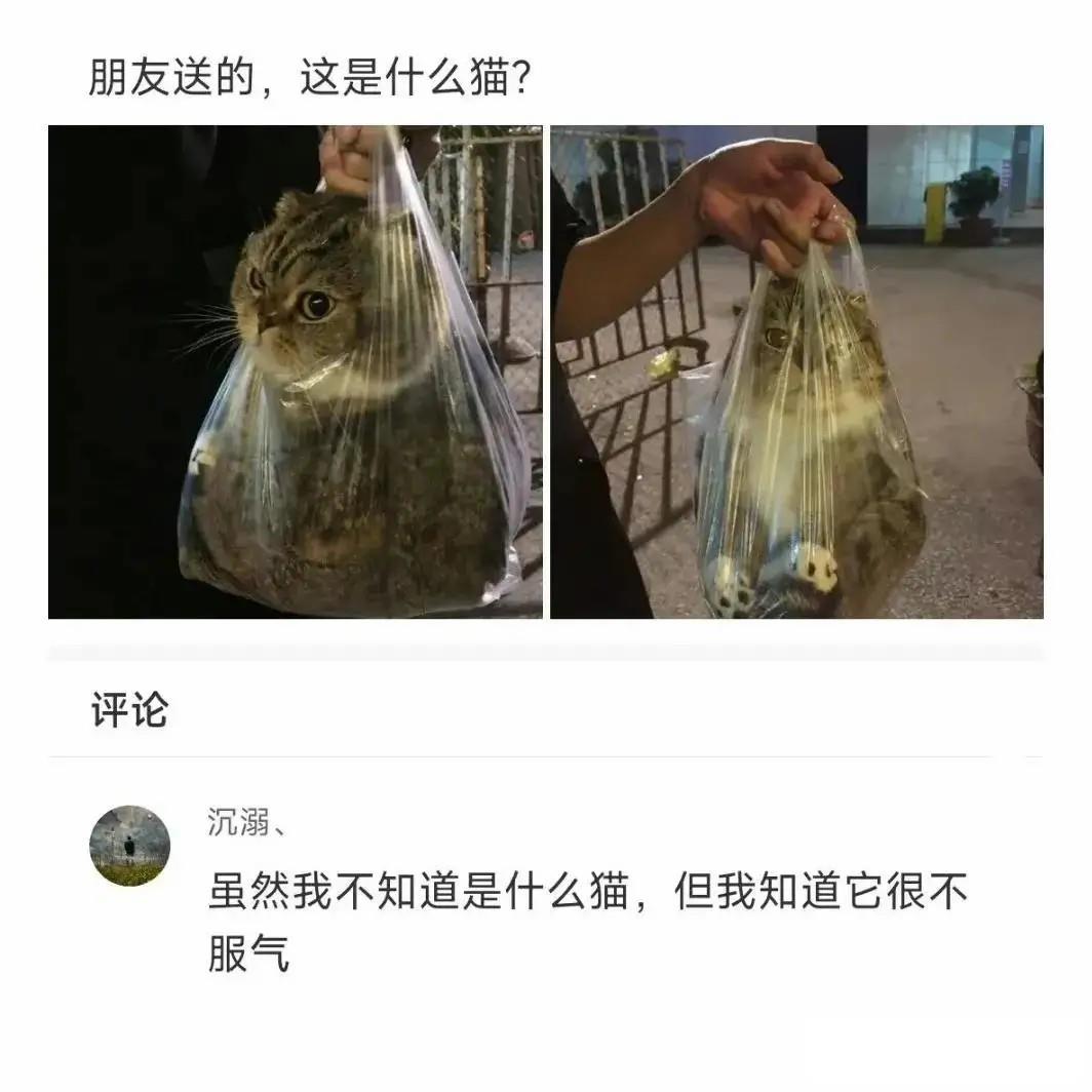 谁能解释一下，厕所门下面为什么要留一段空隙