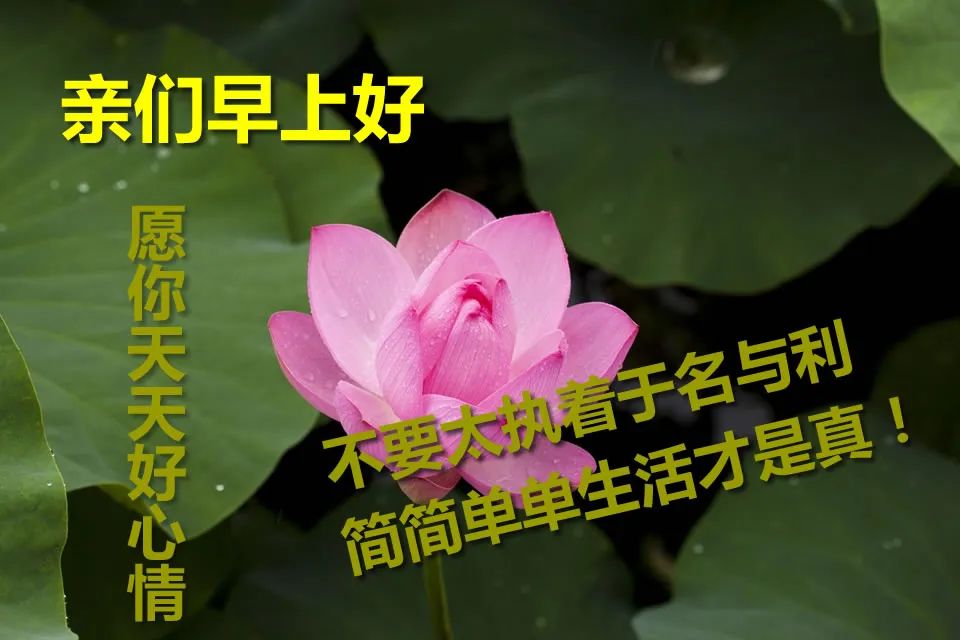 微信群发早晨好问候语动态表情图片 祝福朋友四季平安、健康、快乐图片