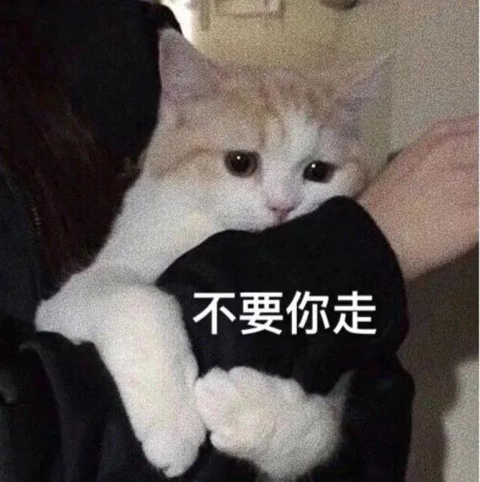 大一新生开学需要准备哪三类物品？