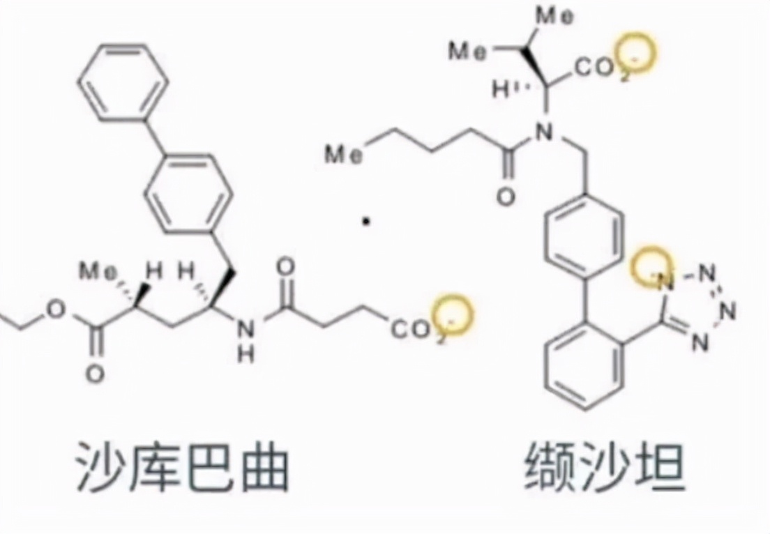 治疗高血压和心衰，十块钱一片的沙库巴曲缬沙坦，有何特点