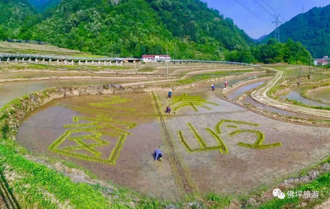 佛坪這些地方，讓你的春游不再單調(diào)！