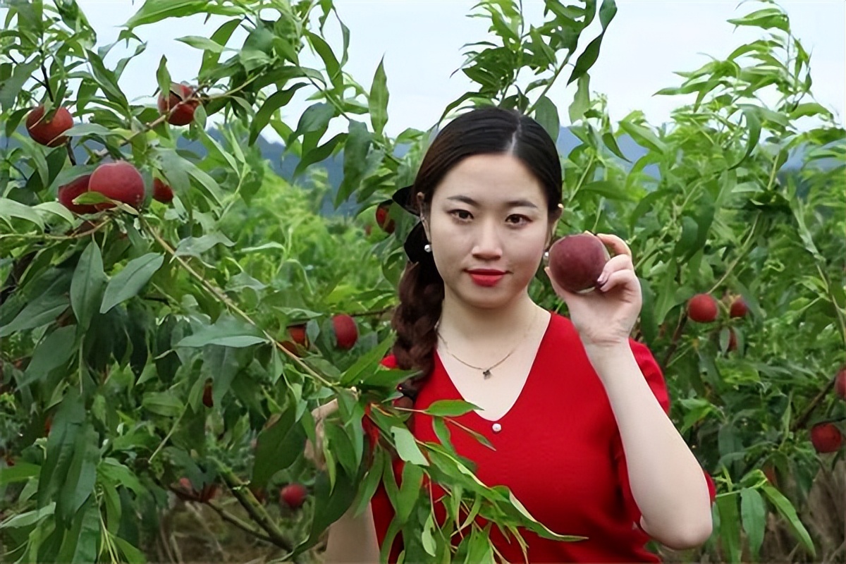 “舌尖”安全有保障 鞍山“高老庄”蔬菜瓜果纯绿色