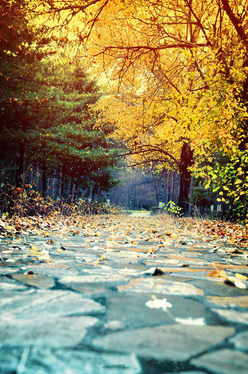 散文：人生就是一场悲欢离合