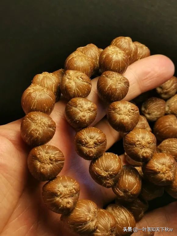 象牙果盘玩后效果图(象牙果盘玩变色)-我的快乐小窝