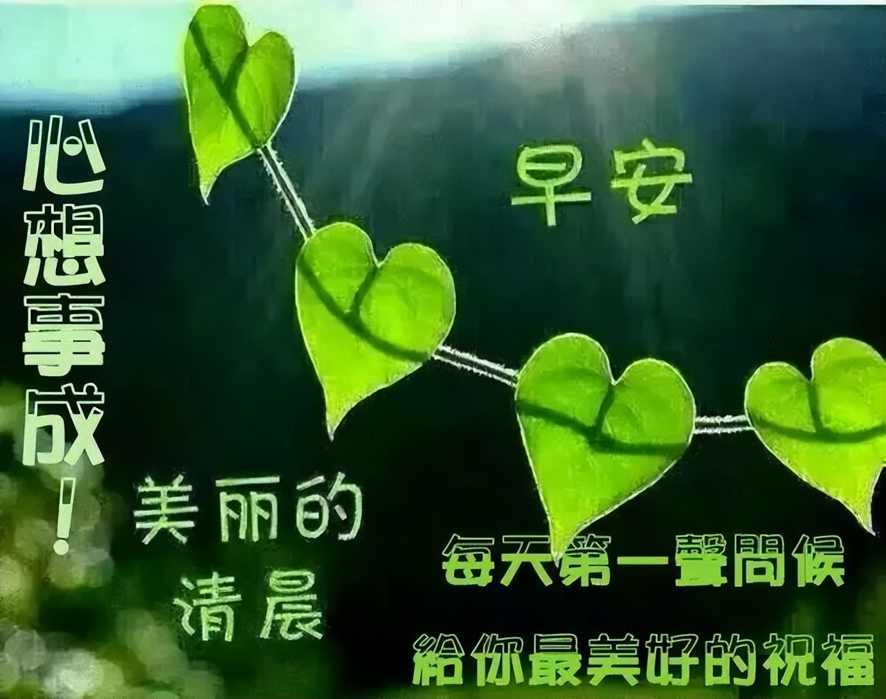 朋友圈早上好祝福语，句句贴心，温暖真诚，新的一天快乐如意图片