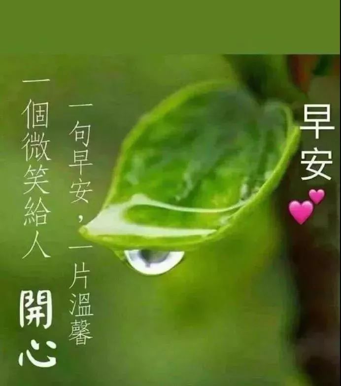 早上好祝福寄语 早上好问候图片大全 从平凡看生活会看见快乐图片
