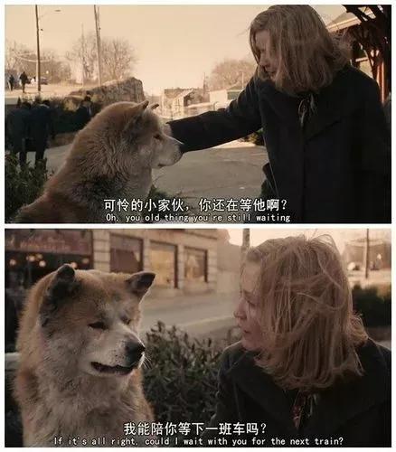 警犬电影都有哪些（7部催人泪下有关狗狗的电影）