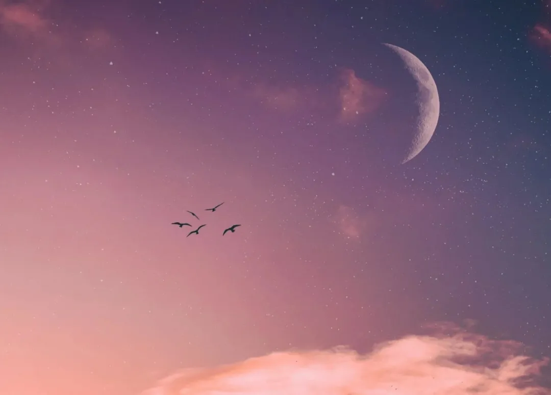 文案｜失眠睡不着的心酸状态文案