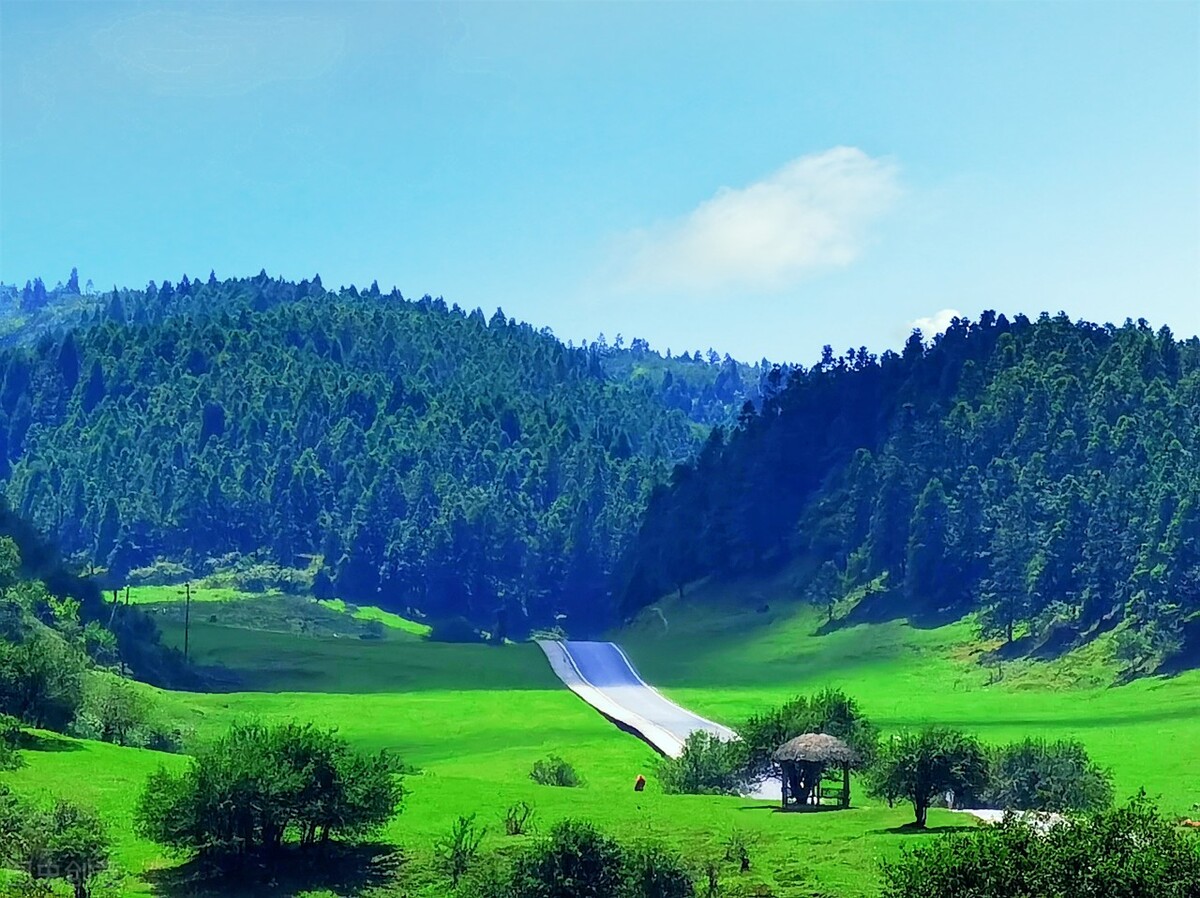 仙女山门票价格(重庆武隆景区免门票了) - 价格百科