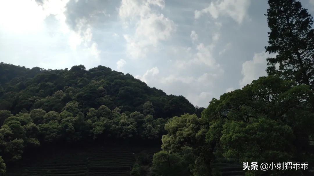 「我说我的」恨铁不成钢