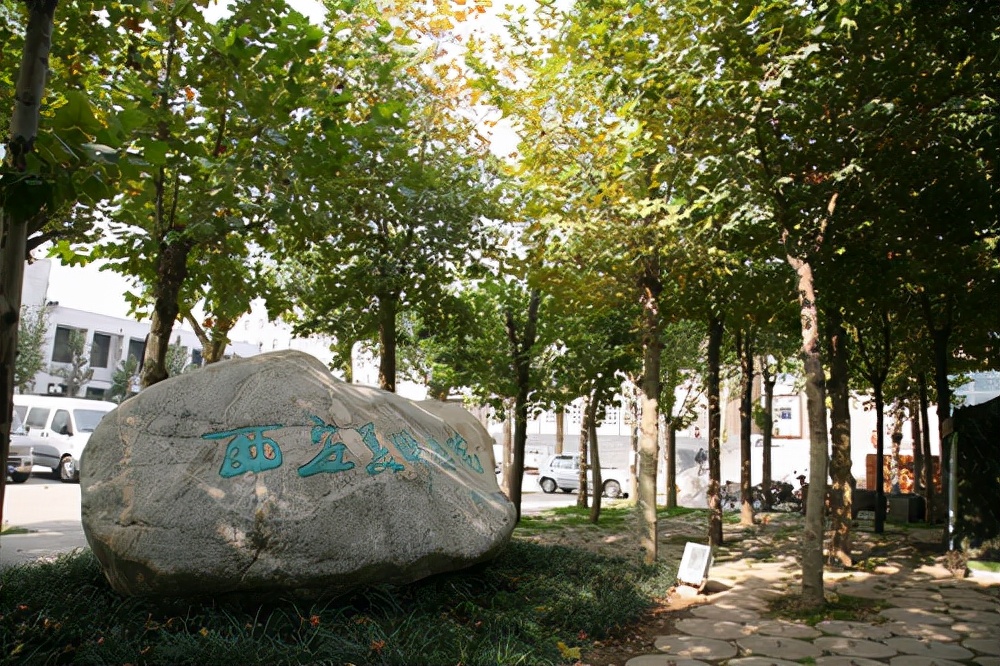 西安美术学院：毕业生不是只能当画家，2021届仅5.4%从事此一职业