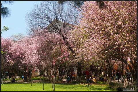 国内百强高校名单出炉，云南3所大学上榜，昆理工排名超过了云大