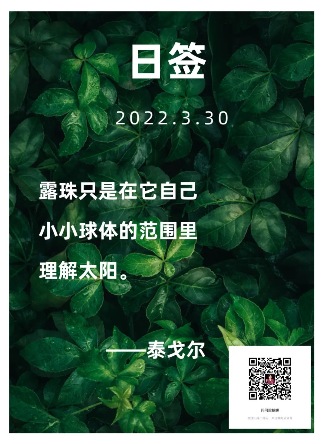 理解是一种奢侈的馈赠，需耐心、共情与时间，非轻易可得。