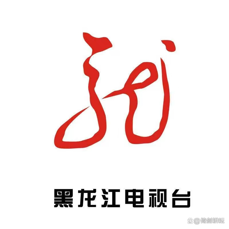 黑龙江电视台通化电视台白山电视台辽源电视台松原电视台白城电视台