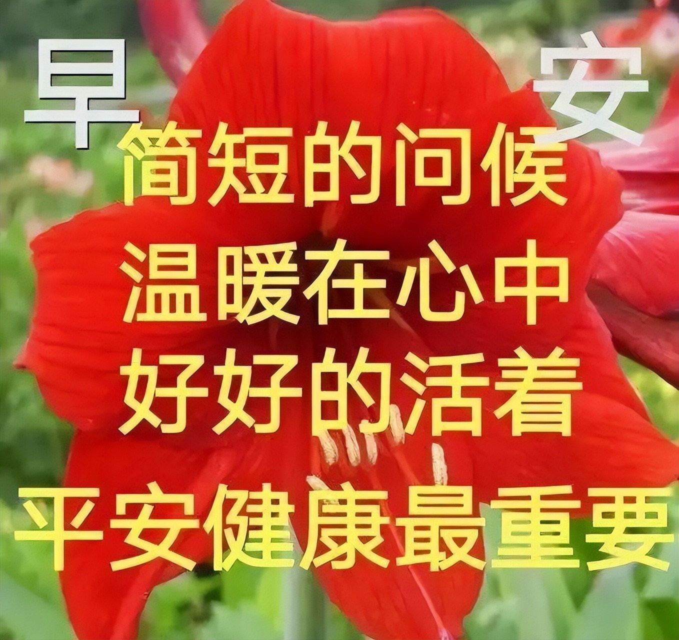 最新早上好微信暖心问候语录句子，祝朋友快乐幸福，明天更美好图片