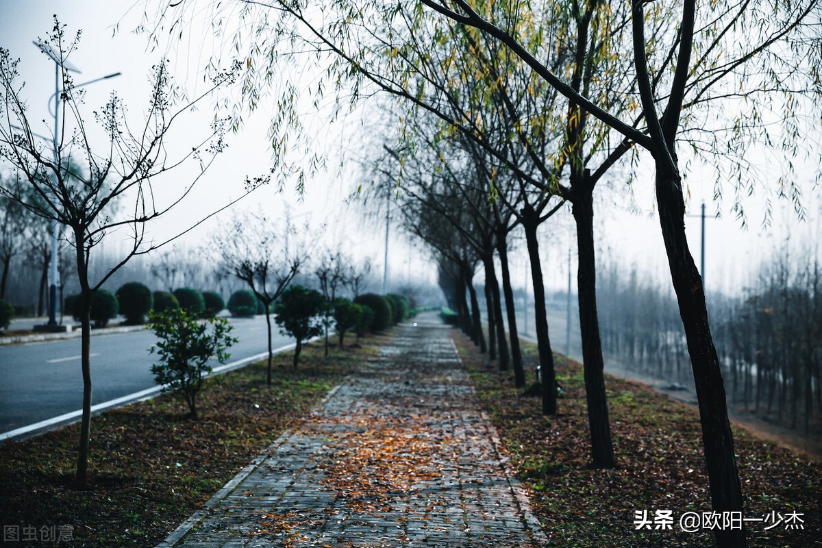 关于秋天的雨的优美句子