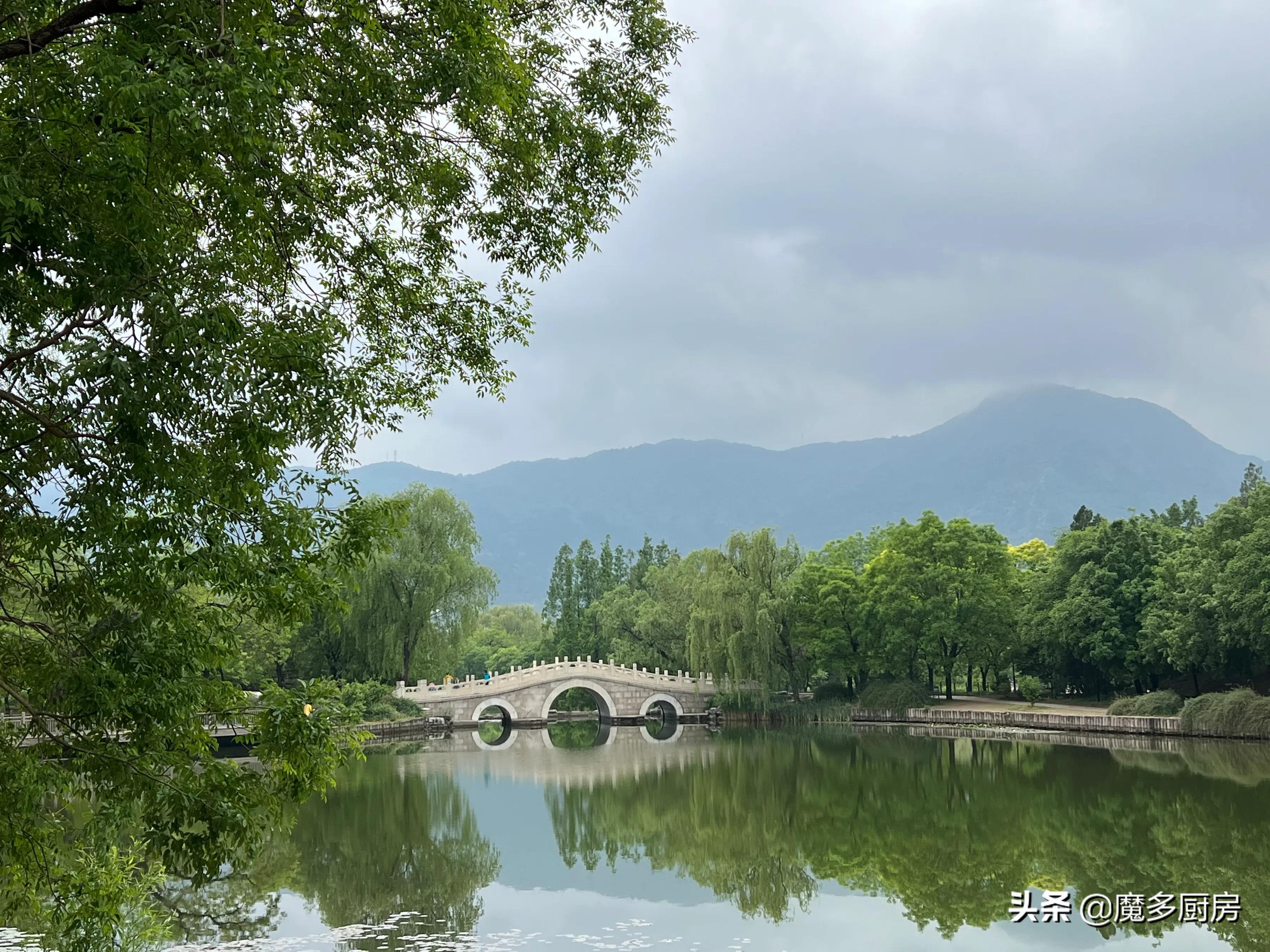 北京香山植物园户外记录，带孩子们雨中山野徒步，感受自然乐趣