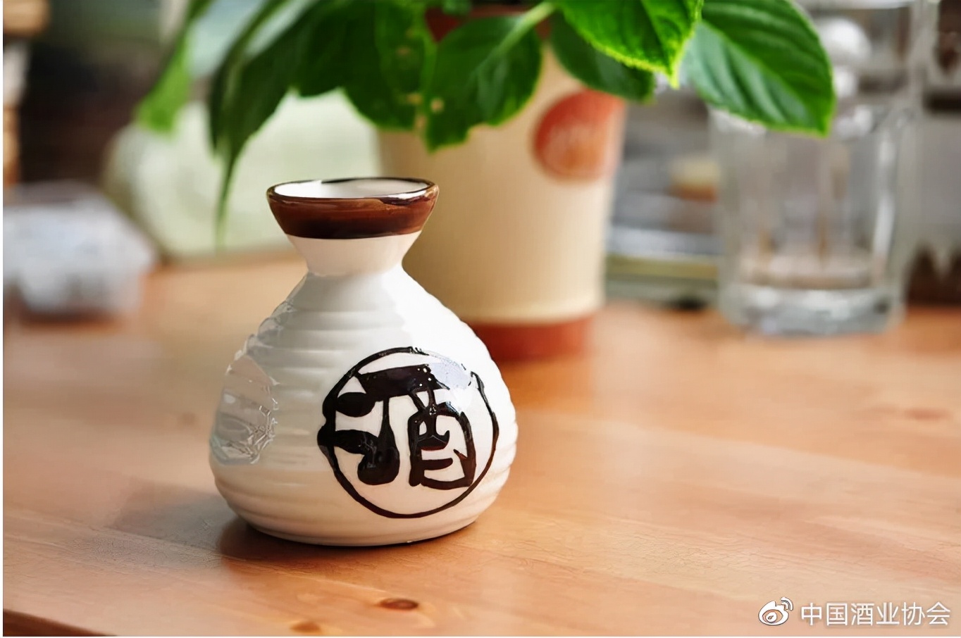 酒境 | 举杯美酒，品味人生