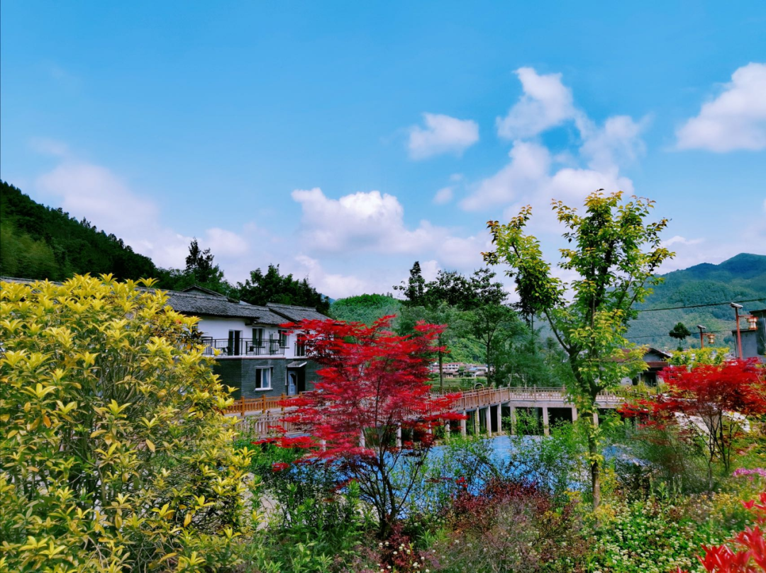 漢中網(wǎng)紅“陜南民居村寨院落”，快去打卡！