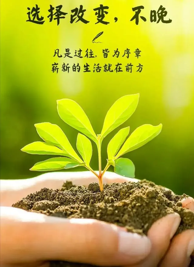 表达生活美好的朋友圈发文案