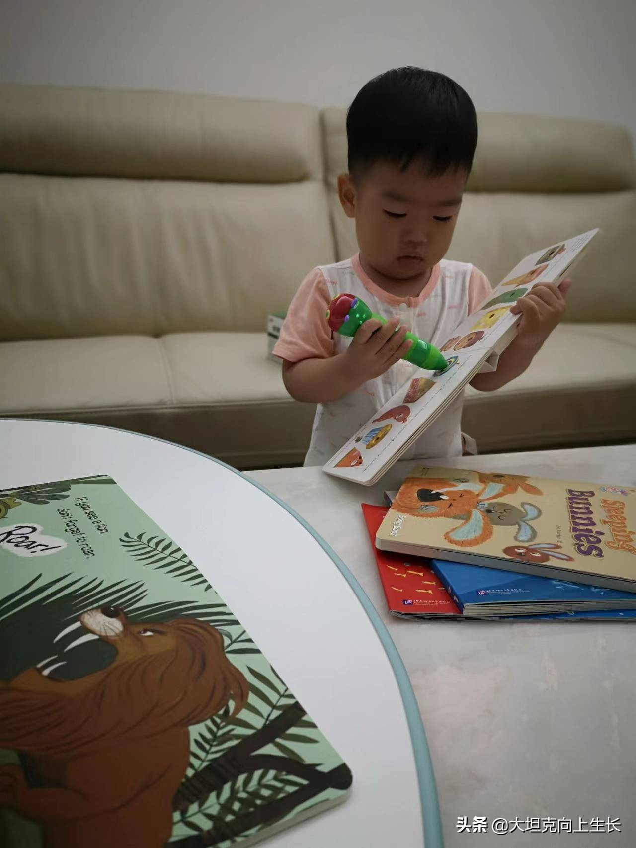 零基础宝宝英语启蒙，牛津树、Raz、红火箭怎么选？