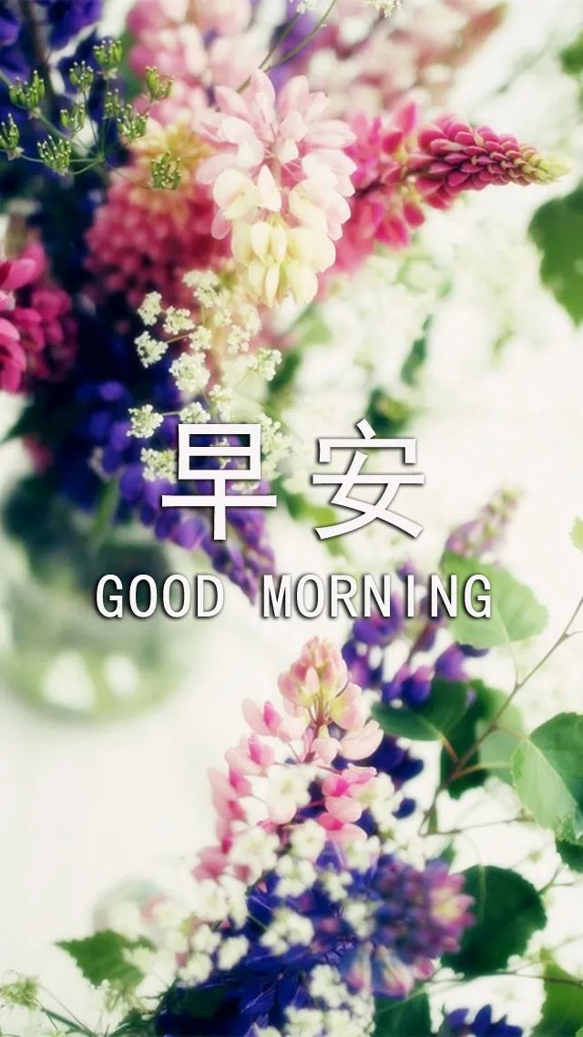 朋友圈早上好问候语 早安祝福语大全 天气多变，注意别感冒图片