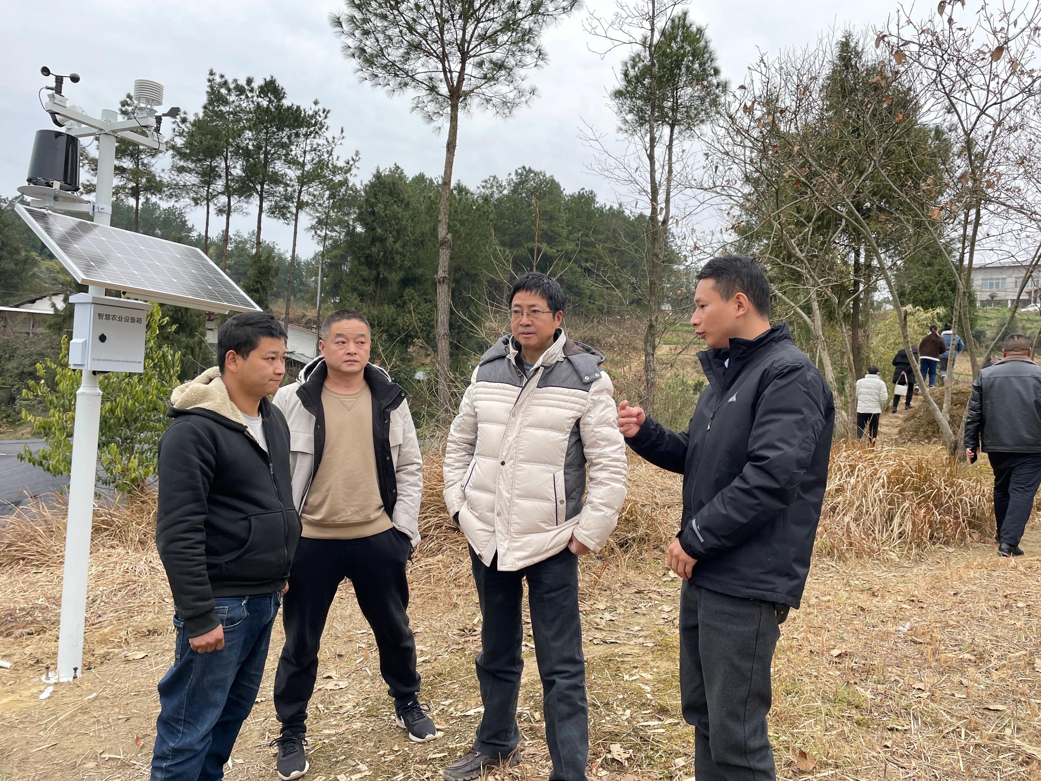 四川省食用菌研究所专家服务三农调研指导羊肚菌产业发展