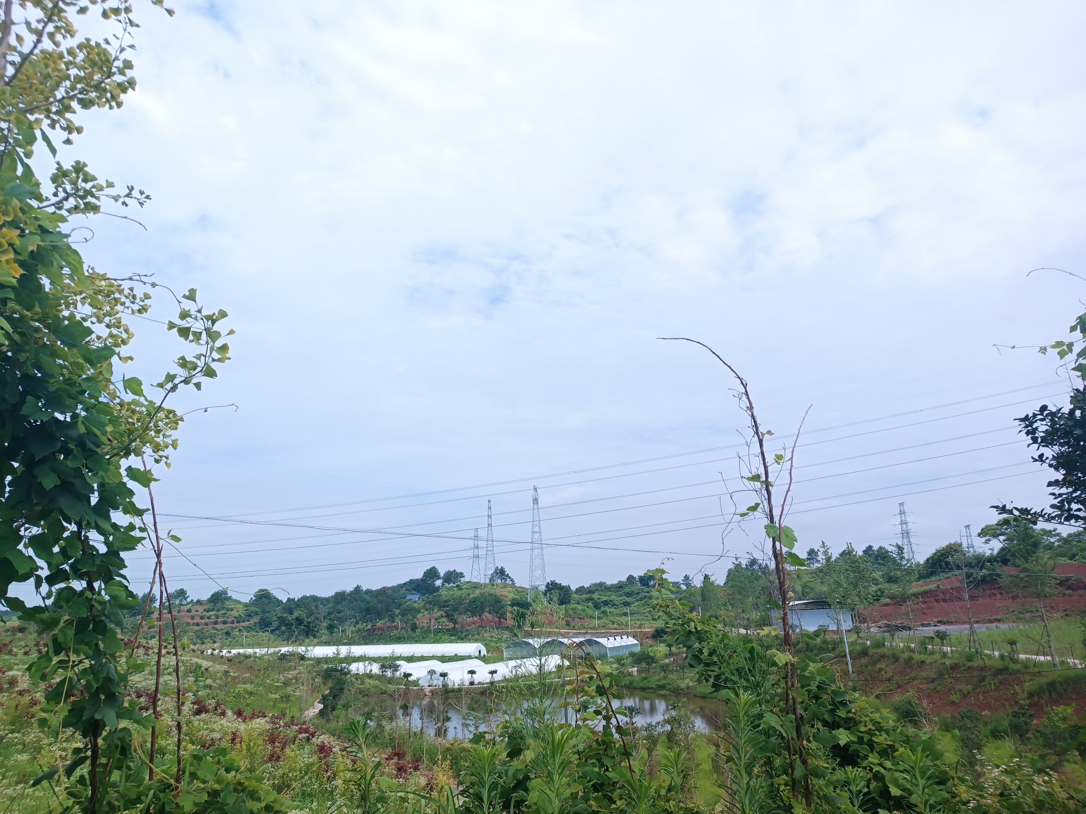 湖南工学院：助力新龙，静待花开