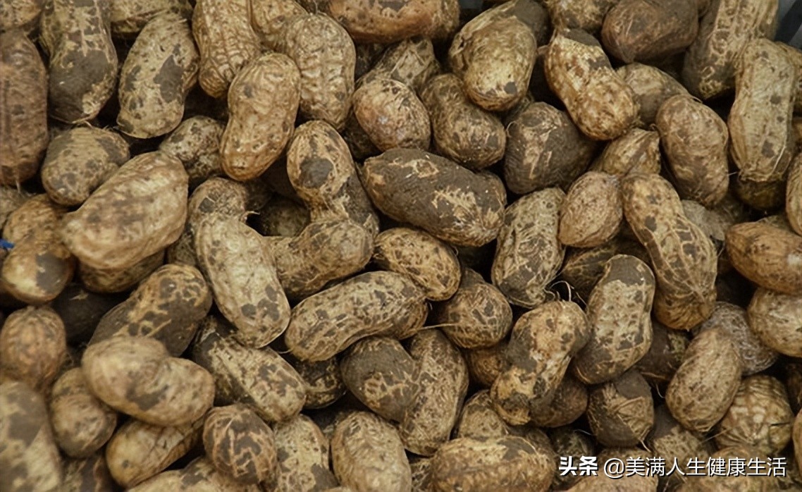 花生很低調 才不把水嫩的果子外露 天天看點