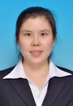 科协优秀论文｜不同电极间距下纳秒脉冲表面介质阻挡放电分布特性