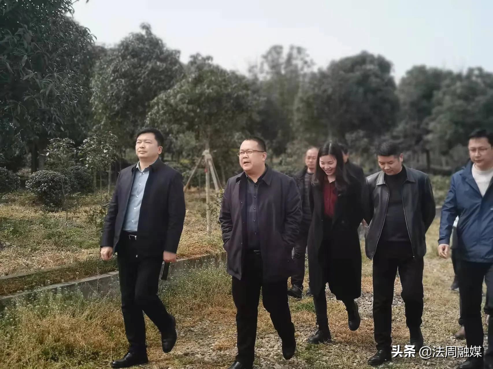 澧县林业局到县城建投园林基地考察调研