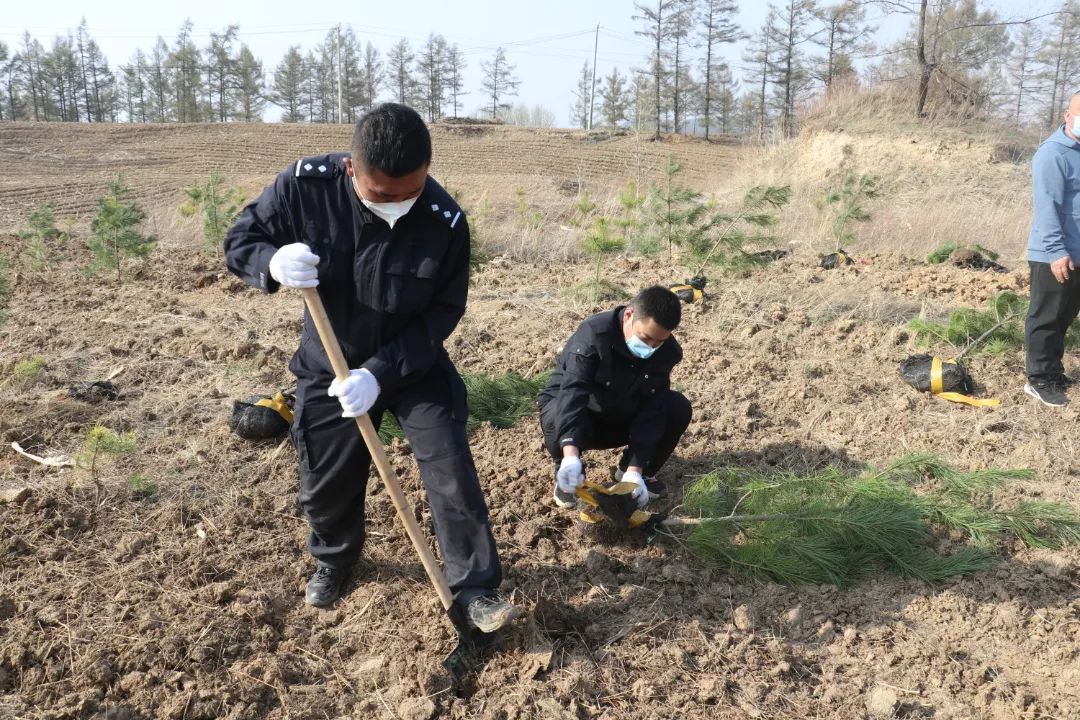 昨天，我们去植树啦