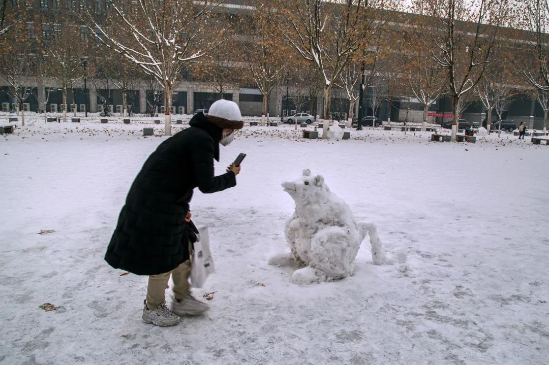 开年瑞雪，师大校园寂静如诗