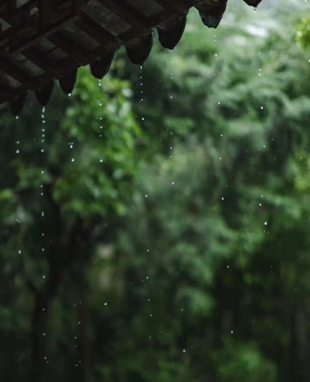每次一下雨，就想离开苏州