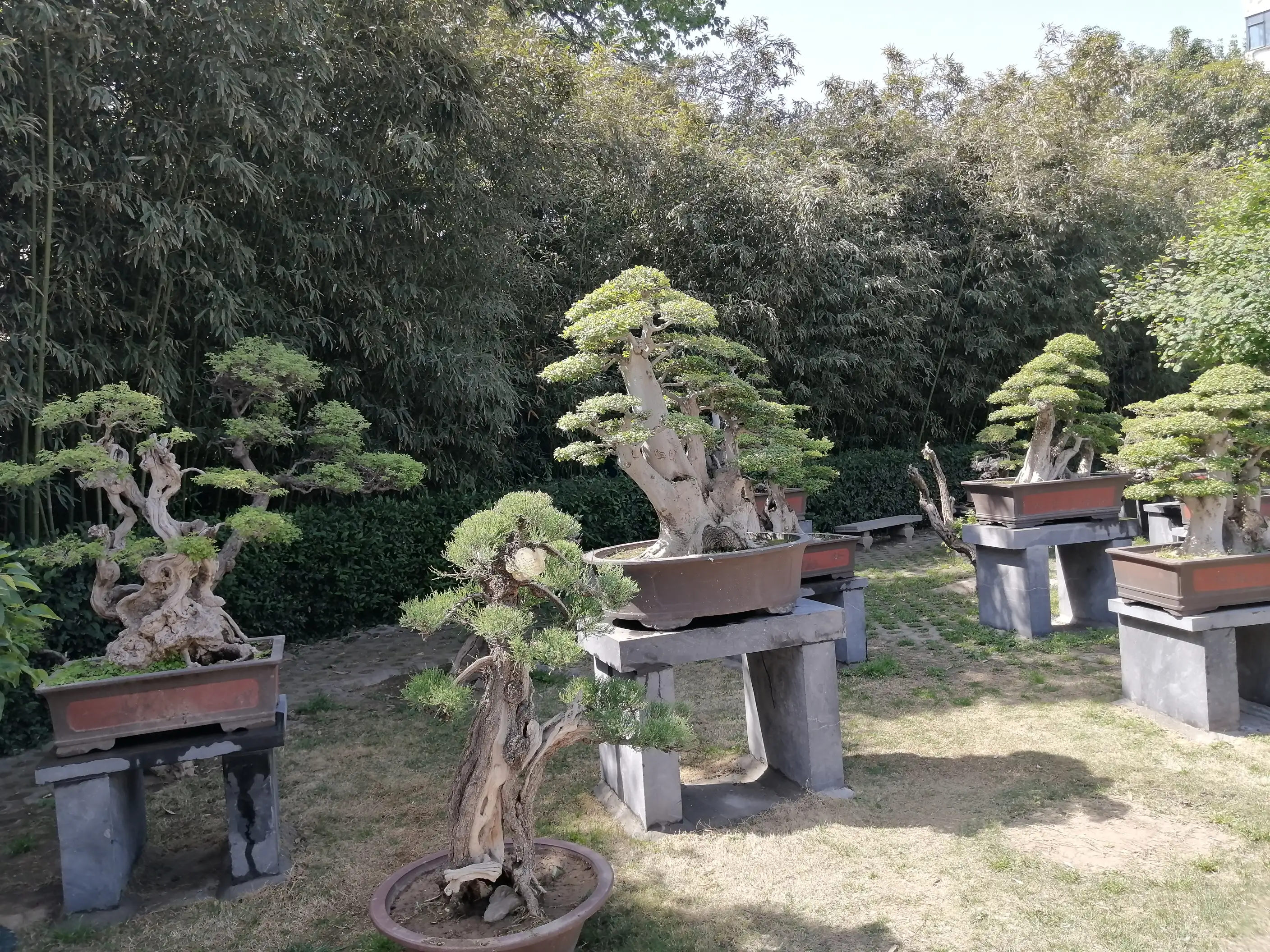 50后退休人员,在医院做护工,日工资130元