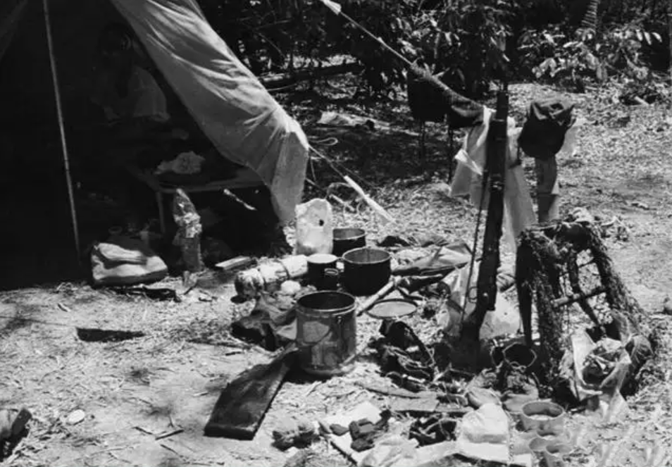 1958年，日本猎人在山洞中发现野人，一查竟是穴居13年的中国人