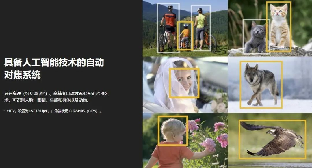 逆势而为，盘点疫情两年中器材行业的新技术与新趋势——相机篇