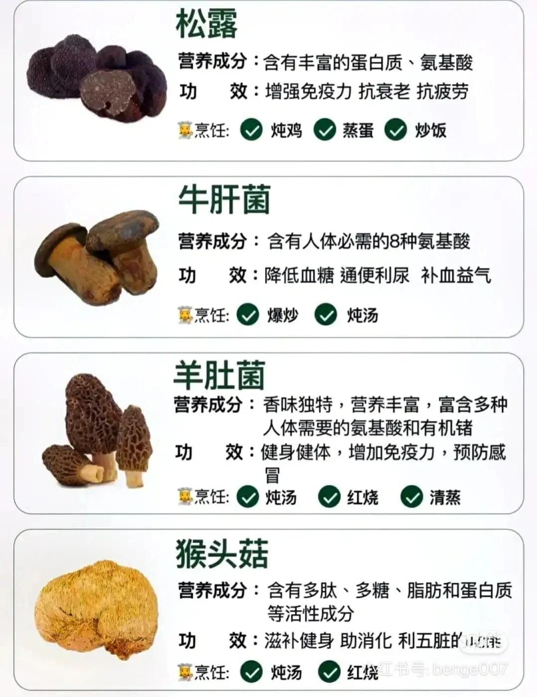 常見蘑菇的分類