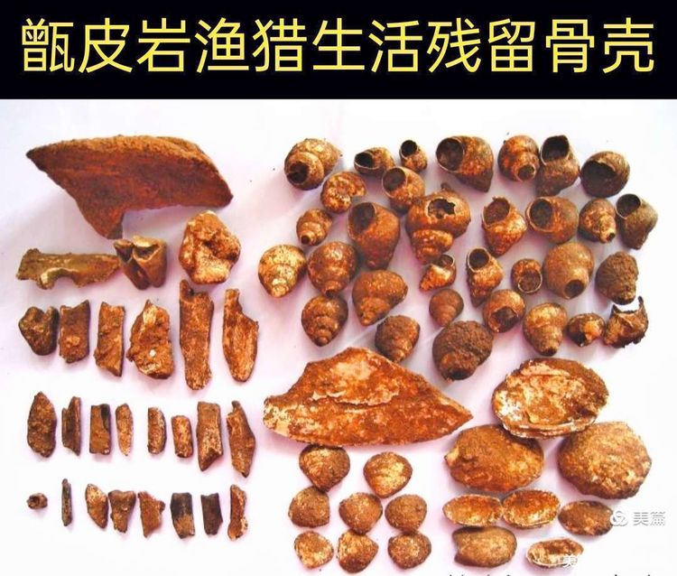 黄镇山：世界陶稻黍文明起源中国万年前