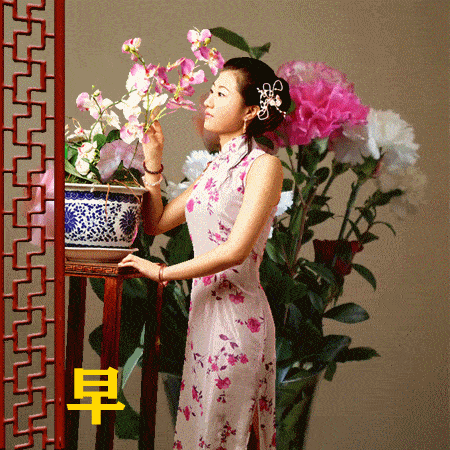 周末清晨祝阳光早上好问候祝福语 祝你幸福 事事都美好图片