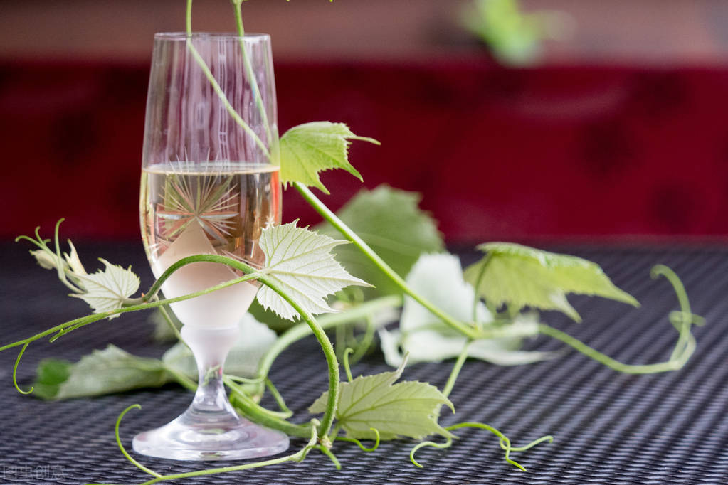 生活就是一杯酒，别说酸甜苦辣，你才是它的调酒师