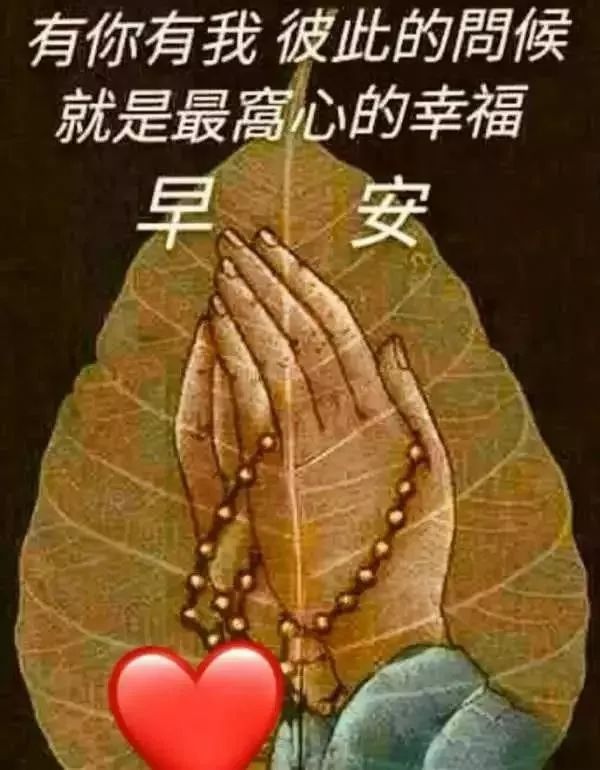 早上好朋友，早上好表情包图片 人生最大的福报是过得平安图片