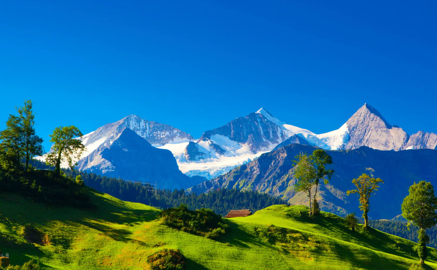 地球变得更绿了？卫星发现阿尔卑斯山在变绿，科学家对此担心不已